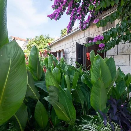 Apartments By The Sea Sumartin, Brac - 758 Apartment Sumartin